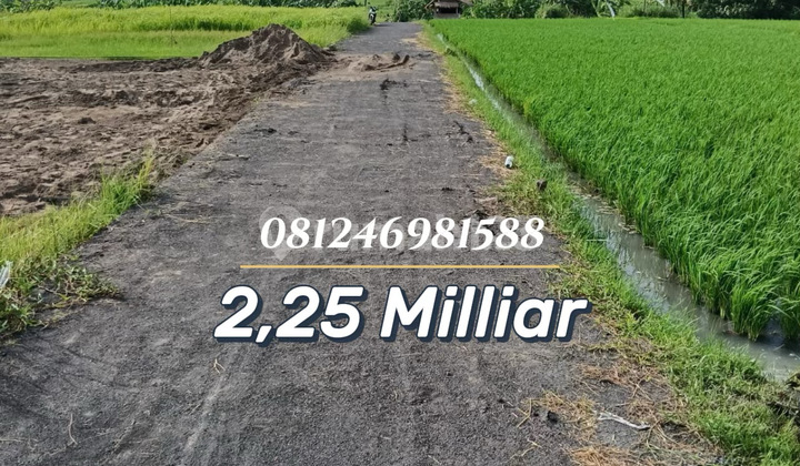 Tanah Investasi Premium Dekat Pantai Kedungu - Tabanan Bali Tanah Investasi Premium Dekat Pantai Kedungu - Tabanan Bali