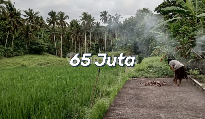 Tanah Murah Los Sungai Dekat Pantai Balian - Lokasi Strategis Untuk Villa Dan Investasi Tanah Murah Los Sungai Dekat Pantai Balian - Lokasi Strategis Untuk Villa Dan Investasi