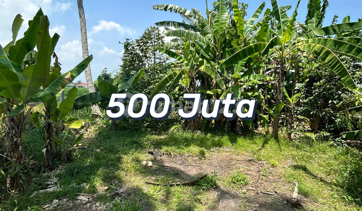 Dijual Tanah 5,1 Are Premium Dekat Pantai Braban – Tanah Siap Bangun