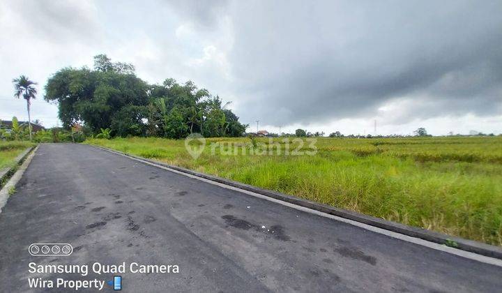 Miliki Investasi Tanah Kavling di Tangeb 6