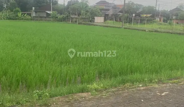 Tanah Kavling di Budung 4