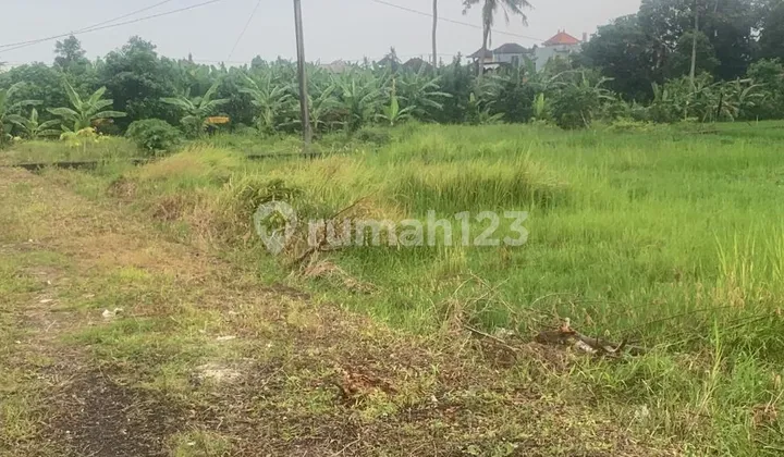 Tanah Kavling di Budung 5