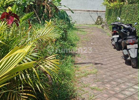 Sangat Jarang Ada Tanah Dijual di Pererenan 1