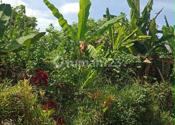 Sangat Jarang Ada Tanah Dijual di Pererenan 2