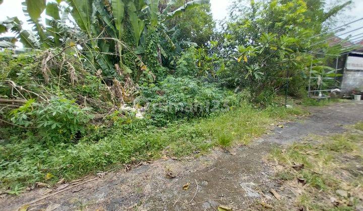 Jarang Ada Tanah 190 M2 Murah Dekat Tanah Lot 2