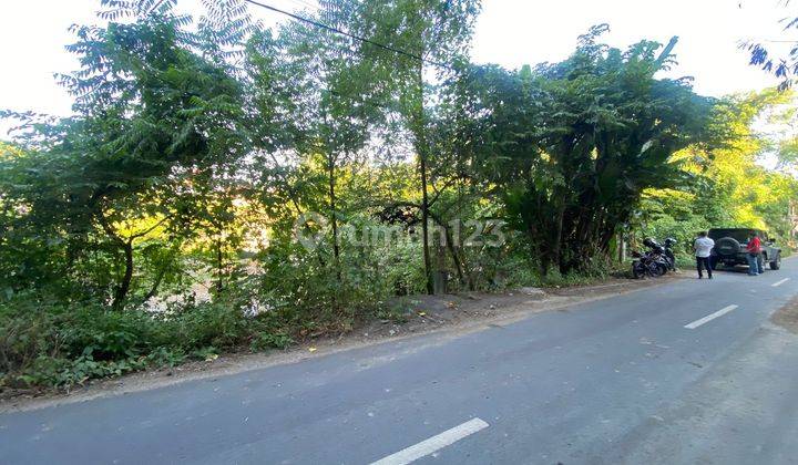 Jual Tanah 300 M2 Istimewa di Nyanyi Tabanan 1