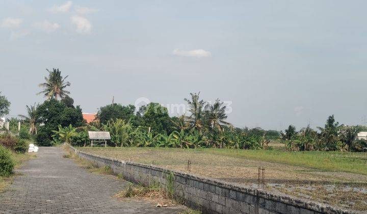 Cheap plots of land for sale near Kedunggu Beach 1