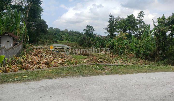 Jual Murah Tanah Kavling Lc Sanggulan Tabanan 1