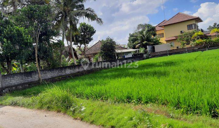 Tanah Murah 700 M2 View Sawah Tibubiyu Pasut Tabanan Bali 1