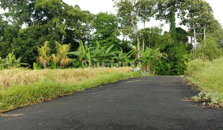 Selling 200 M2 of land near the Kedunggu Beach tourist attraction 2