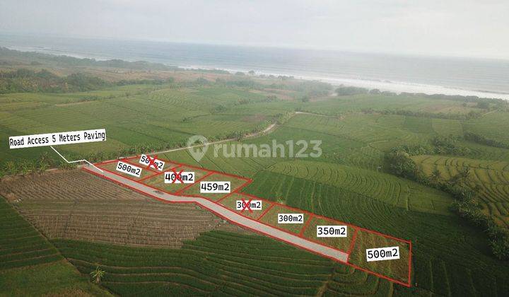 Jual Murah Tanah Kavling 280 Jutaan Dekat Pantai Pasut 1