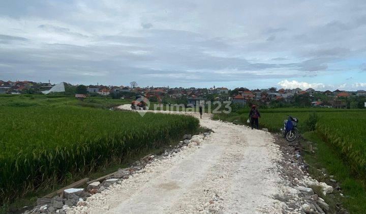 Jual Tanah View Sawah Aktif Dekat Canggu Zona Kuning 1