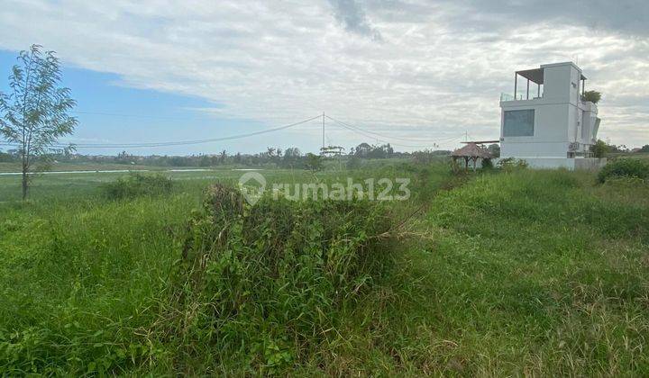 Land for Rent 1200 M2 Near Seseh Pererenan Beach 1