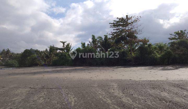 Dijual Tanah 5950 M2 Loss Pantai Dekat Balian Beach 2