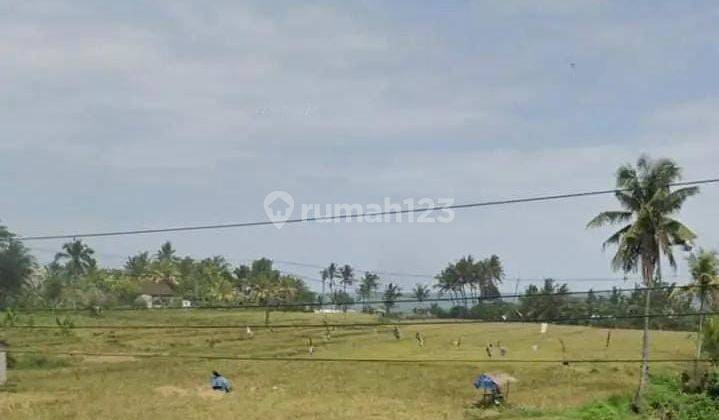 Dijual Tanah 5950 M2 Loss Pantai Dekat Balian Beach 1