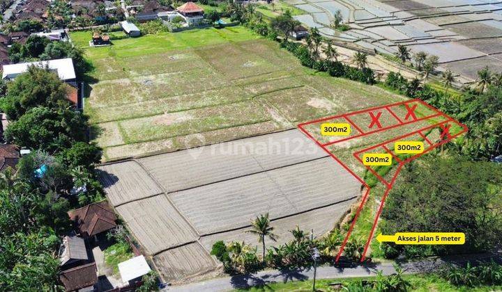 Jual Tanah View Sawah di Kaba-kaba 1