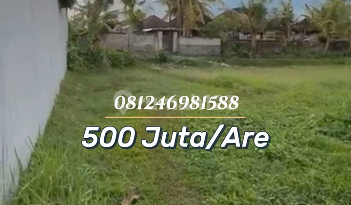 Tanah Strategis View Sawah di Tabanan, Ideal untuk Villa Investasi