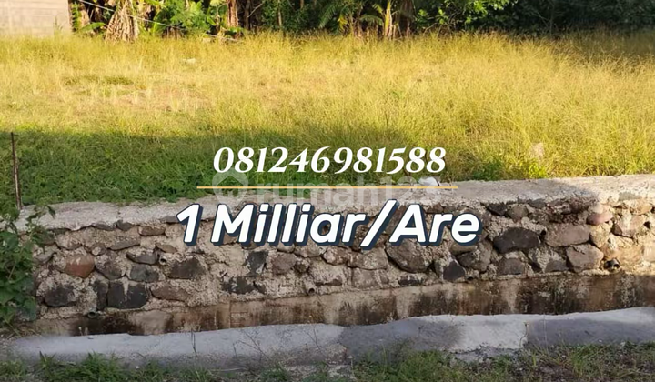 For Sale Strategic Land with Rice Field View in Exclusive Ciputra Land Beach Kedungu Area