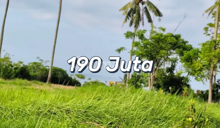 Tanah Investasi Strategis Di Kawasan Balian Beach – Harga Di Bawah Pasar Tanah Investasi Strategis Di Kawasan Balian Beach – Harga Di Bawah Pasar