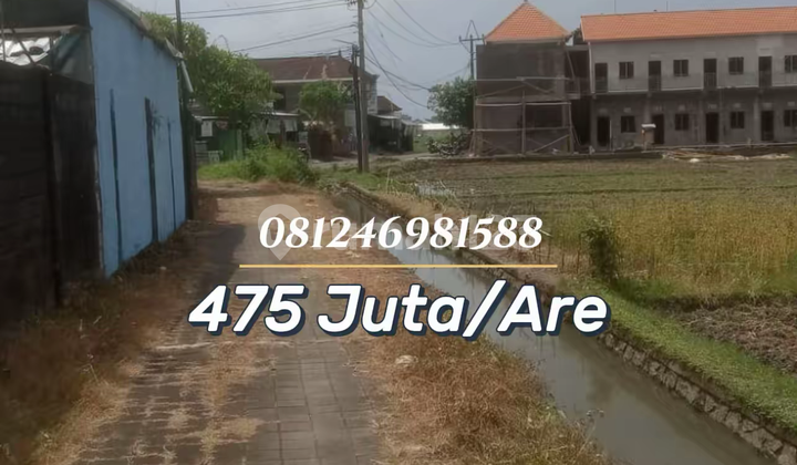 For Sale Tanah Strategis Area Bukit Tinggi Gadon Bringkit - Cocok untuk Rumah atau Investasi For Sale Tanah Strategis Area Bukit Tinggi Gadon Bringkit - Cocok untuk Rumah atau Investasi