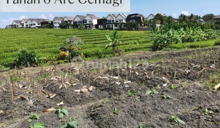 For Sale Tanah Premium Cemagi - Dekat Pantai & View Sawah, Zona Wisata For Sale Tanah Premium Cemagi - Dekat Pantai & View Sawah, Zona Wisata