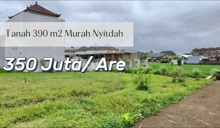 For Sale Strategic Land Rice Field View Near Kedungu Beach Tabanan Bali