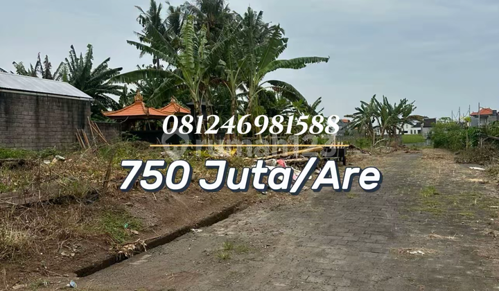 Premium Investment Land Near Kedungu Beach