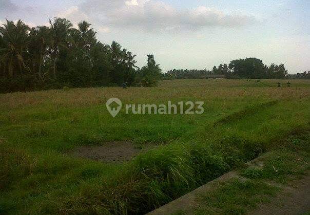 Jual Murah Tanah Global 2900 M2 2