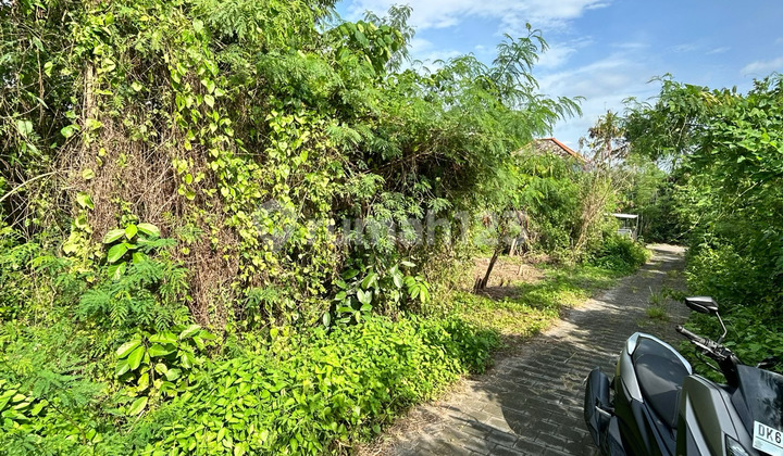 Strategic Land for Sale Near the Beach in Nyitdah, Tabanan - Best Property Investment!