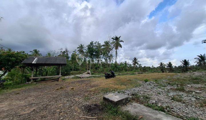 Tanah Murah 12300 M2 Kawasan Balian Beach  2