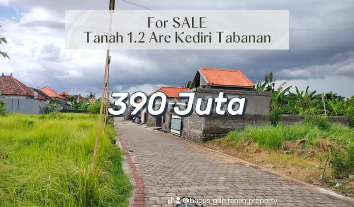 Dijual Tanah Siap Bangun Di Kawasan Perumahan Kediri, Tabanan Dijual Tanah Siap Bangun Di Kawasan Perumahan Kediri, Tabanan