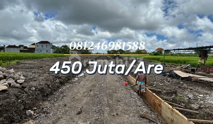 Promo Hot Tanah Kavling View Sawah di Kawasan Hunian Eksklusif Pandak Gede