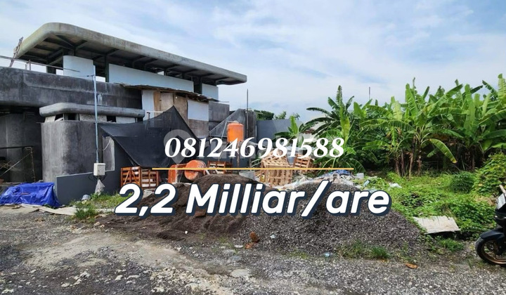 For Sale Premium Investment Land in Padang Linjong Canggu - Near Echo Beach For Sale Premium Investment Land in Padang Linjong Canggu - Near Echo Beach