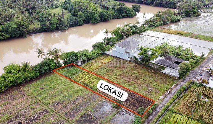 Cheap Land for Sale Walking Distance to Pasut Beach 1