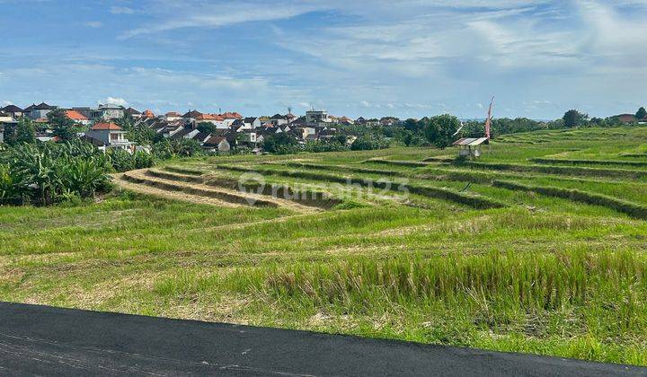 Solusi Tanah Murah View Sawah Terdekat Ke Canggu