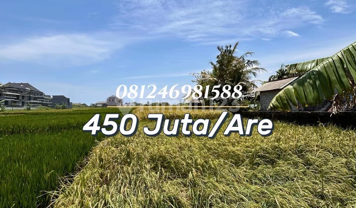 For Sale Strategic Land 300 Meters to Yeh Gangga Beach For Sale Strategic Land 300 Meters to Yeh Gangga Beach