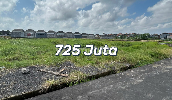 For Sale Ready Shm Tanah 250 M2 Canggu