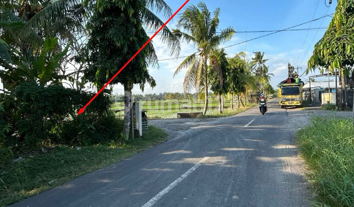 Disewakan Tanah Komersial Super Strategis Dekat Pantai Yeh Gangga 1