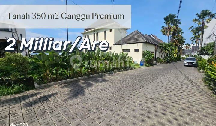 Tanah Premium Zona Pariwisata - Berawa Canggu, Investasi Strategis di Kawasan Villa Mewah Tanah Premium Zona Pariwisata - Berawa Canggu, Investasi Strategis di Kawasan Villa Mewah