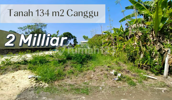 For Sale Tanah Hook Strategis di Canggu - Akses Ganda, Siap Bangun & Investasi For Sale Tanah Hook Strategis di Canggu - Akses Ganda, Siap Bangun & Investasi