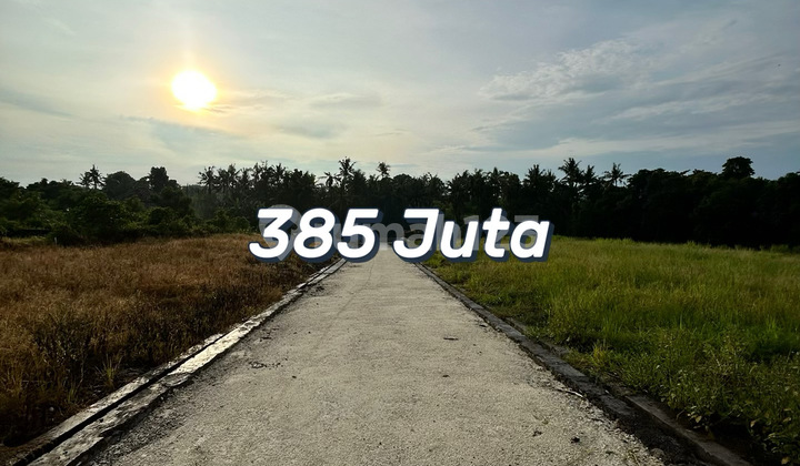 Tanah Kavling Terlaris Dekat Pantai Kedungu - Tahap Ii Resmi Dibuka!