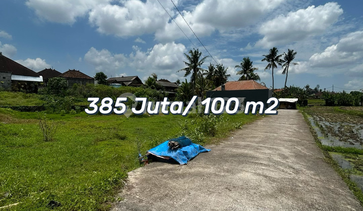 Tanah Kavling Strategis View Sawah Di Kediri, Tabanan
