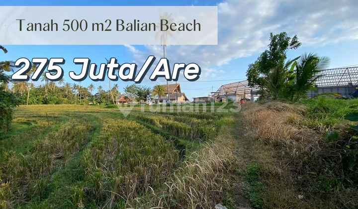 For Sale Strategic Land 150 Meters from Balian Beach - Tourism Zone, Ideal for Villa.