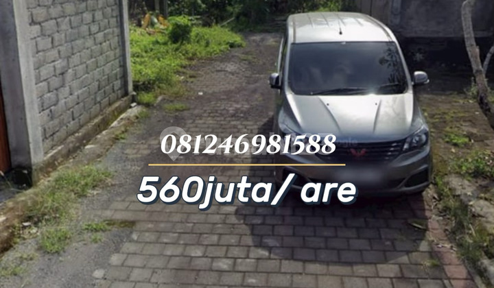 Tanah Siap Bangun di Abian Base - Lokasi Strategis & Akses Mudah Tanah Siap Bangun di Abian Base - Lokasi Strategis & Akses Mudah