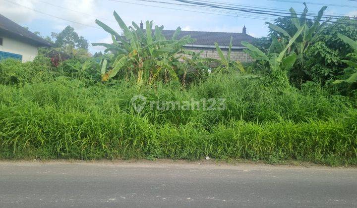 Tanah Spesial Pinggir Jalan Utama Buwit 1