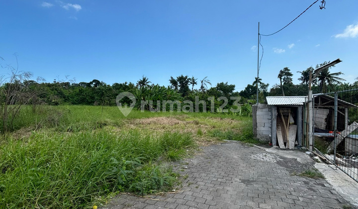 Cheap Land Plots in Tanah Lot – Rice Field & River View, Near Kedungu Beach. Cheap Land Plots in Tanah Lot – Rice Field & River View, Near Kedungu Beach.