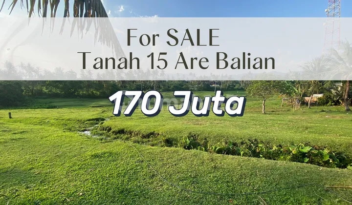 Tanah Murah Zona Pariwisata Dekat Pantai – Investasi Menjanjikan Tanah Murah Zona Pariwisata Dekat Pantai – Investasi Menjanjikan