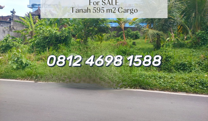 Tanah Siap Bangun Di Karang Sari Cargo - Akses Luas & Lokasi Strategis Tanah Siap Bangun Di Karang Sari Cargo - Akses Luas & Lokasi Strategis