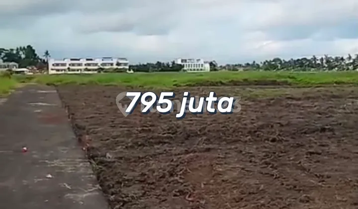 Premium Kavling Kedungu – Hot Promo Mulai 2,5 Are