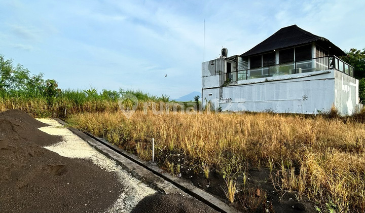Tanah Kavling Terlaris Dekat Pantai Kedungu - Tahap Ii Resmi Dibuka!